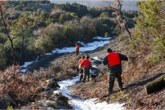 146  -  La caccia al cinghiale in  Toscana