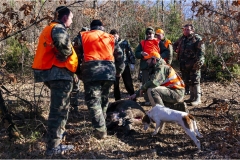 147  -  La caccia al cinghiale in  Toscana