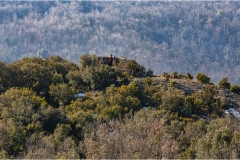 148  -  La caccia al cinghiale in  Toscana