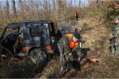 154  -  La caccia al cinghiale in  Toscana