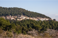1_110  --  La caccia al ginghiale in Toscana  -  Il Gabbro