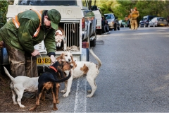 1_112  --  La caccia al ginghiale in Toscana  -  Il Gabbro