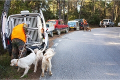 1_113  --  La caccia al ginghiale in Toscana  -  Il Gabbro