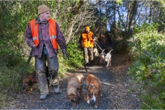 1_114  --  La caccia al ginghiale in Toscana  -  Il Gabbro