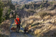 1_115  --  La caccia al ginghiale in Toscana  -  Il Gabbro