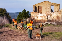 1_118  --  La caccia al ginghiale in Toscana  -  Il Gabbro