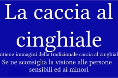 2  --  La caccia al ginghiale in Toscana  -  Il Gabbro