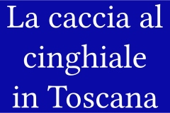2_1  --  La caccia al ginghiale in Toscana  -  Il Gabbro