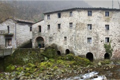 114  Svizzera Pesciatina Vecchio-Mulino