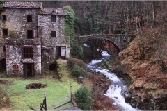 118  Svizzera Pesciatina