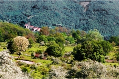 32.Svizzera Pesciatina Pontito-da-Croce-a-Veglia