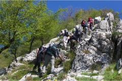 36 Svizzera Pesciatina 