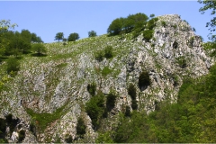 41Svizzera Pesciatina .Il-Memoriante