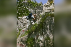 42 Svizzera Pesciatina 