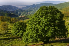 50 Svizzera Pesciatina da Croce-a Veglia