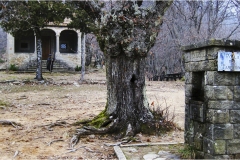 59-Svizzera Pesciatina .La-polla-del-Tamburino