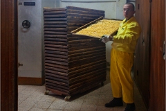 1000-12 Lari :  Il pastificio Martelli