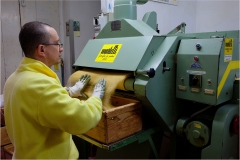 1000-13 Lari :  Il pastificio Martelli