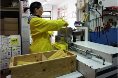 1000-14 Lari :  Il pastificio Martelli