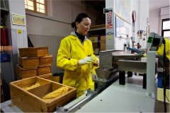 1000-15 Lari :  Il pastificio Martelli