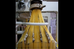 1000-5 Lari :  Il pastificio Martelli