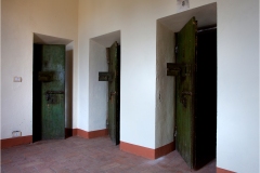 488  Lari - Il castello