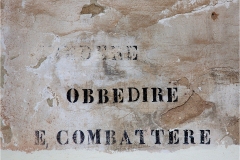 494  Lari -Il castello