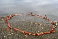418-Le coste della Toscana -San-Vincenzo-Spiaggia