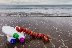 420-Le coste della Toscana-San-Vincenzo-Spiaggia