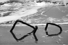 422-Le coste della Toscana -San-Vincenzo-Spiaggia