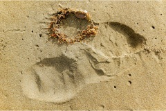 430-Le coste della Toscana -San-Vincenzo-Spiaggia