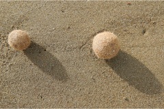 432-Le coste della Toscana -San-Vincenzo-Spiaggia