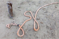 466-Le coste della Toscana -San-Vincenzo-Spiaggia