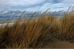 472-Le coste della Toscana -arina-di-Castagneto-I-Pianetti