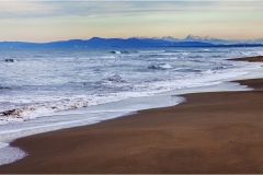 474-Le coste della Toscana -Marina-di-Castagneto-i-Pianetti