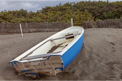 582-Le coste della Toscana -Cecina-Bibbona-La-spiaggia
