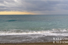 588 Vegetazione-dunale-Dati GPS