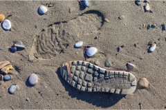 590-Le coste della Toscana -Cecina-Bibbona-La-spiaggia
