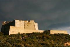 230-Le coste della Toscana-Forte-Stella