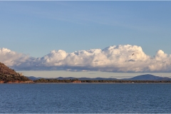 236-Le coste della Toscana-Da-Talamone