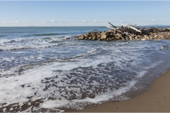 260-Le coste della Toscana-Alberese-La-spiaggia