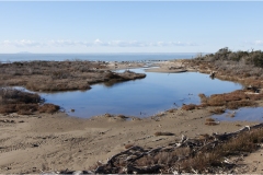 262-Le coste della Toscana --Alberese-La-spiaggia