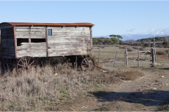 268-Le coste della Toscana-Alberese-Foce-dell' Ombrone