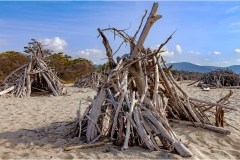 274- Le coste della Toscana-Alberese-i-capanni