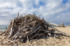 276-Le coste della Toscana -Alberese-I-capanni