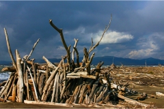 278-Le coste della Toscana -Alberese-I-capanni