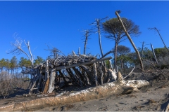 282-Le coste della Toscana - Alberese-