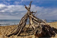 284-Le coste della Toscana - Alberese-I-capanni