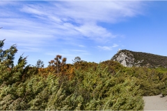 290 - Le coste della Toscana-Alberese-Le-torri-di-guardia