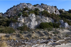 291-Le coste della Toscana - Spiaggia-dell' Uccellina